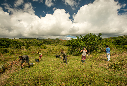 Démocratisation de l’économie : l’enjeu de la «biodiversité» entrepreneuriale