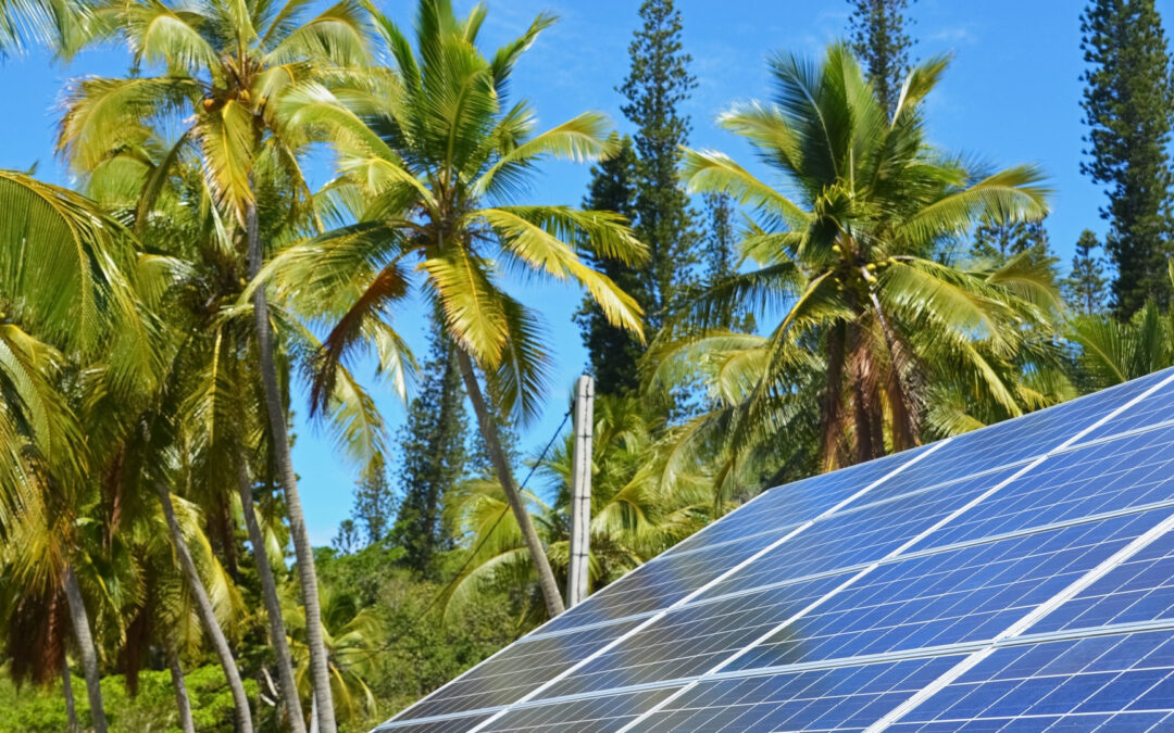 Énergies rurales vertes