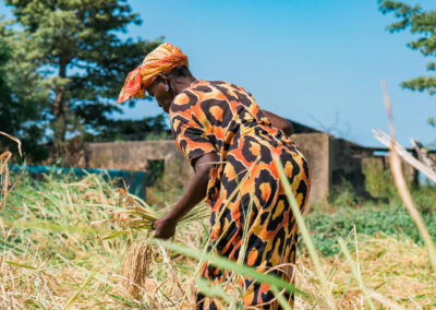 Assurance agricole pour 7000 agricultrices